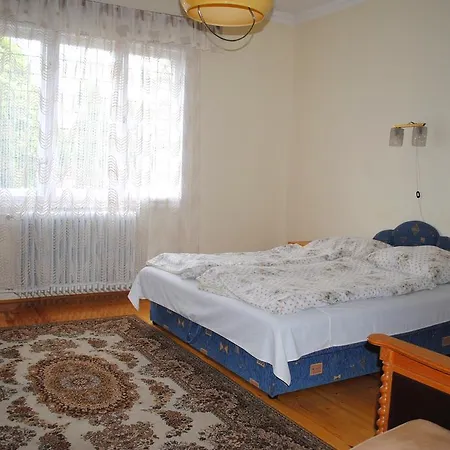 Ferenczi Apartament Apartamento *
